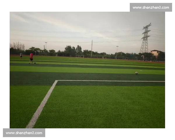 从绿茵场到心路历程深度对话一名足球人的专访实录幕后与未来展望